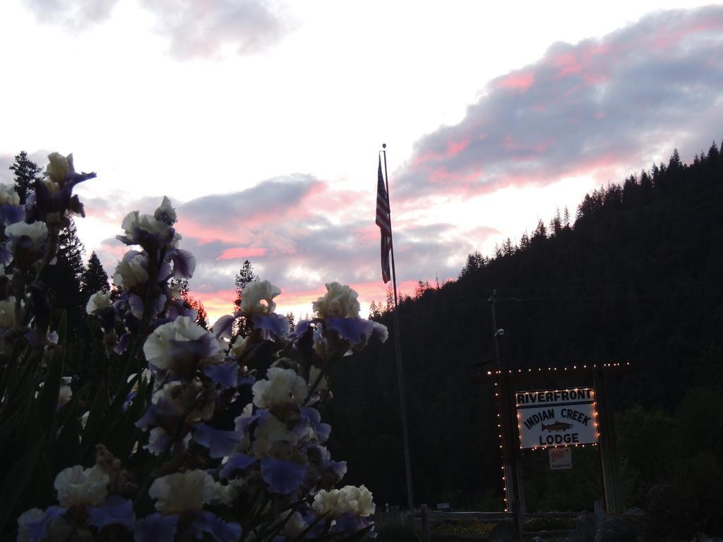 Indian Creek Lodge Douglas City ภายนอก รูปภาพ